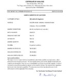 M-9376-Klens-Hand-Sanitizer-analysis-report